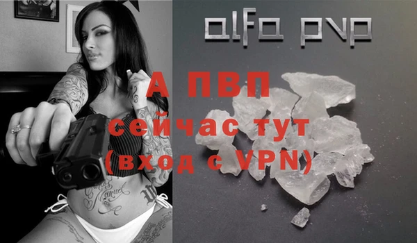 прущие грибы Северская