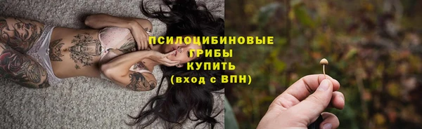 ПСИЛОЦИБИНОВЫЕ ГРИБЫ Белая Калитва