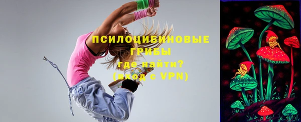 ПСИЛОЦИБИНОВЫЕ ГРИБЫ Белая Калитва