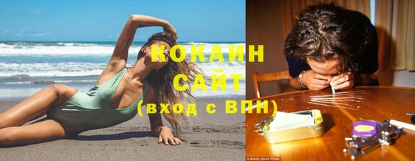 первитин Бикин