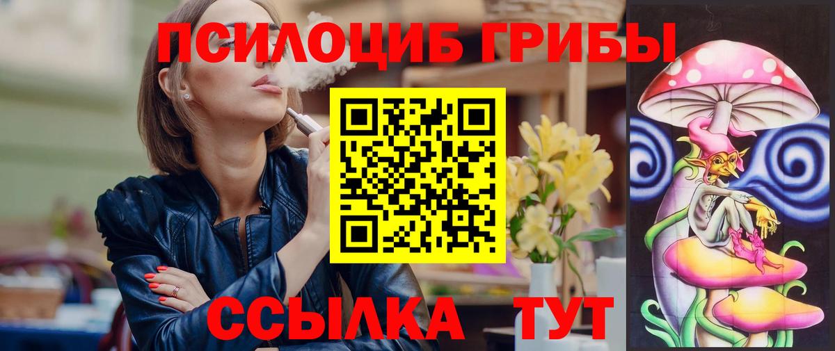 Псилоцибиновые грибы Psilocybine cubensis Миасс