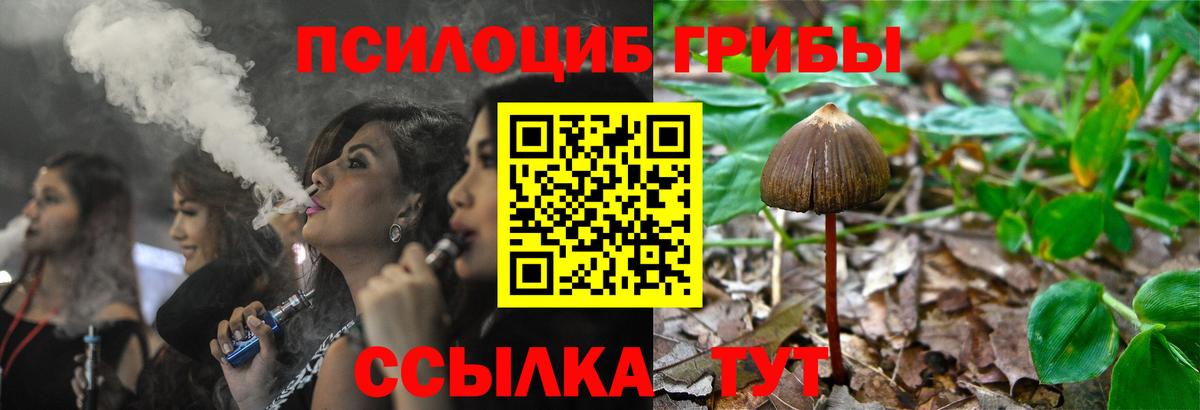Галлюциногенные грибы Psilocybe  наркота  Миасс 